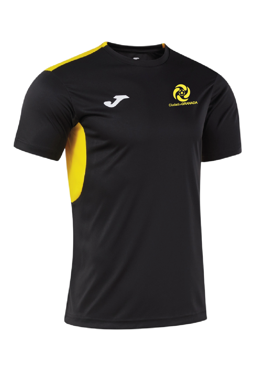 Camiseta Ciudad de Granada